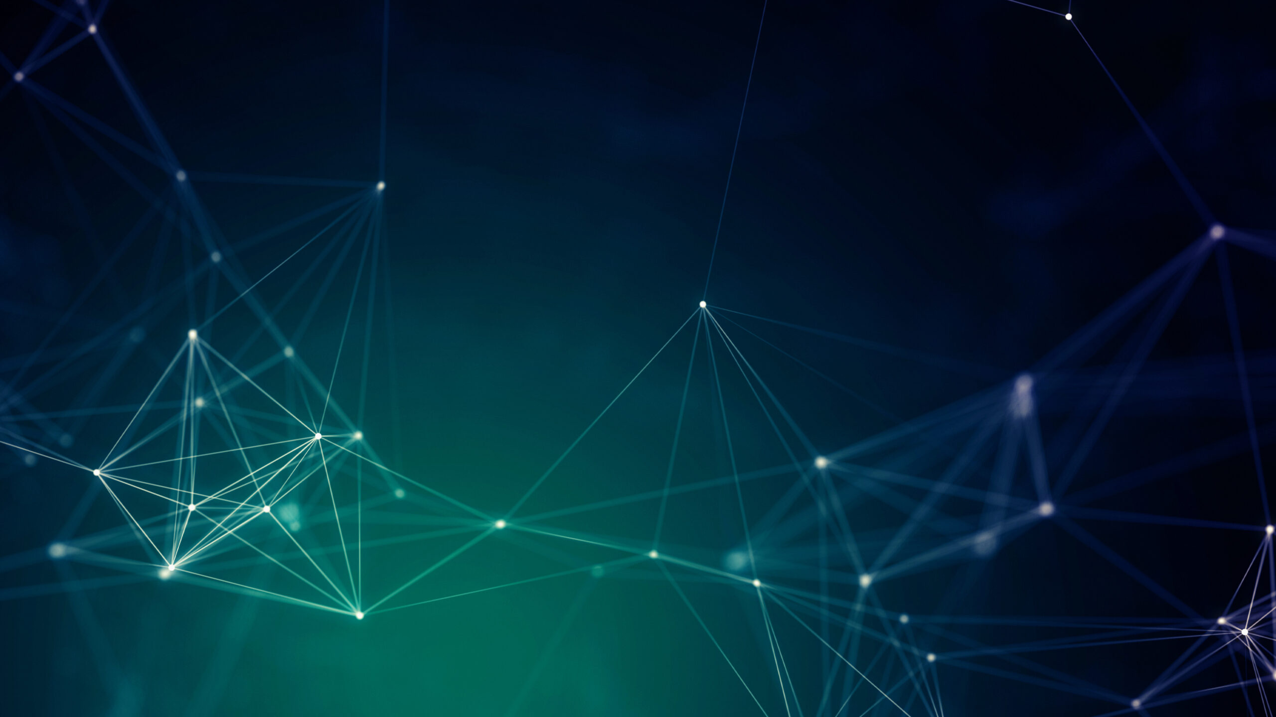 哈云网络-专注互联网创业,信息差副业研究,拒绝割韭菜